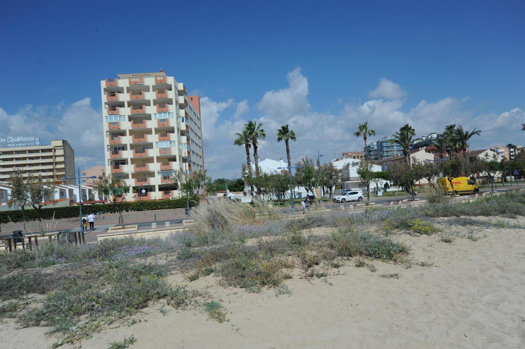 Europeniscola Orangecosta Apartment Luaran gambar